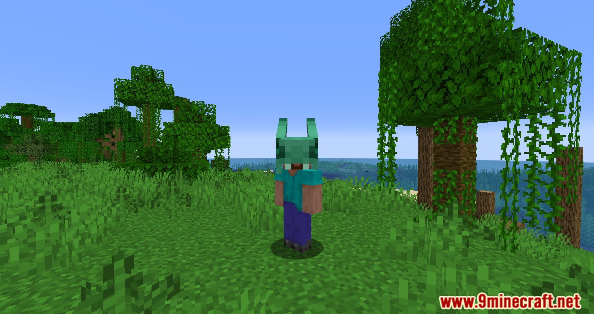 Simple Hats Mod (1.20.4, 1.19.4) - Cool hats In The Game 13