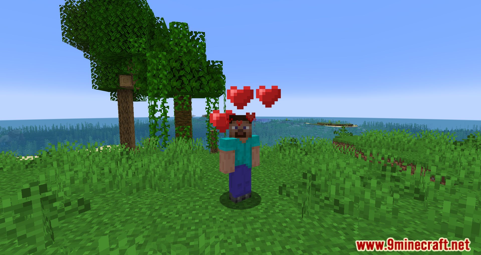Simple Hats Mod (1.20.4, 1.19.4) - Cool hats In The Game 16