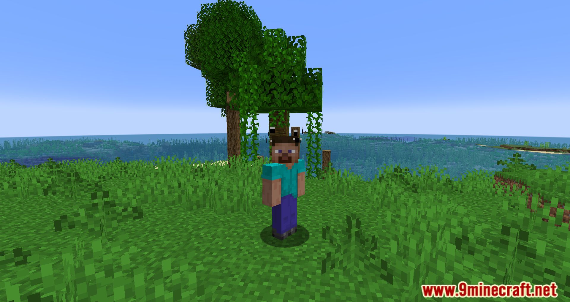 Simple Hats Mod (1.20.4, 1.19.4) - Cool hats In The Game 18