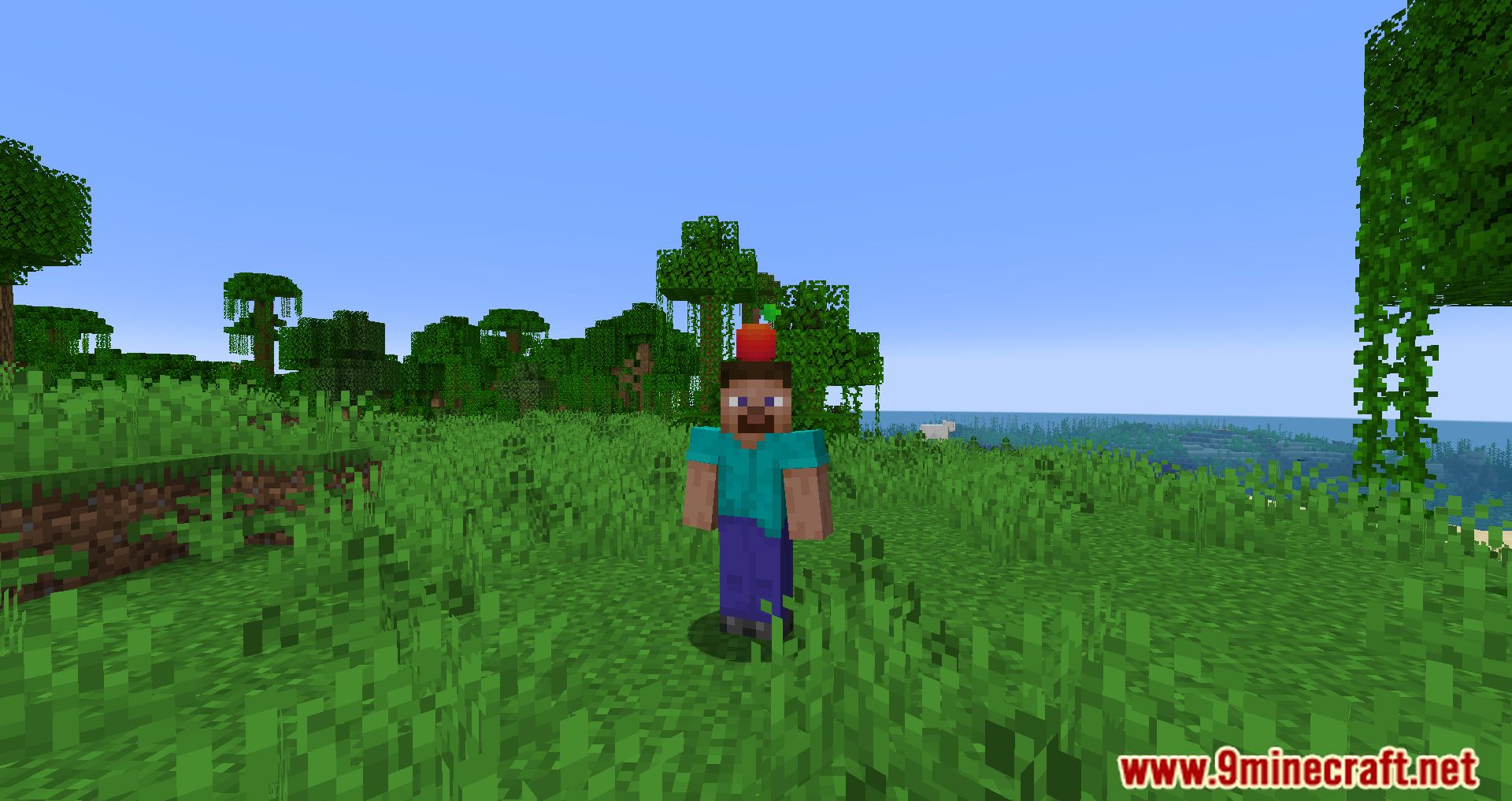 Simple Hats Mod (1.20.4, 1.19.4) - Cool hats In The Game 20