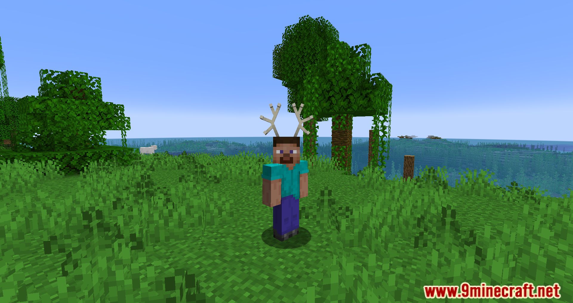 Simple Hats Mod (1.20.4, 1.19.4) - Cool hats In The Game 21