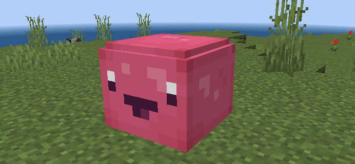 Slime Rancher Addon (1.19) - MCPE/Bedrock Mod 2