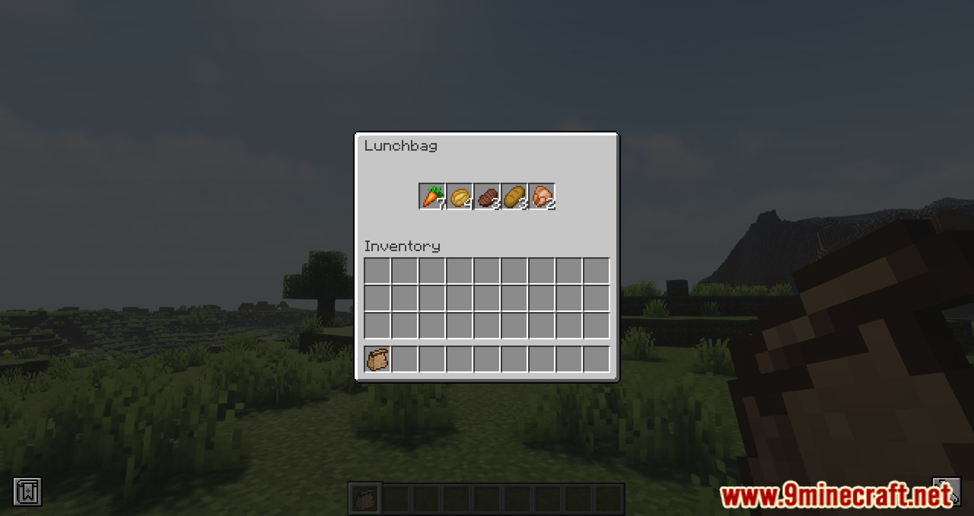 Spice of Life: Sweet Potato Edition Mod (1.19.2, 1.18.2) - Benefits Of Eating In Moderation 5