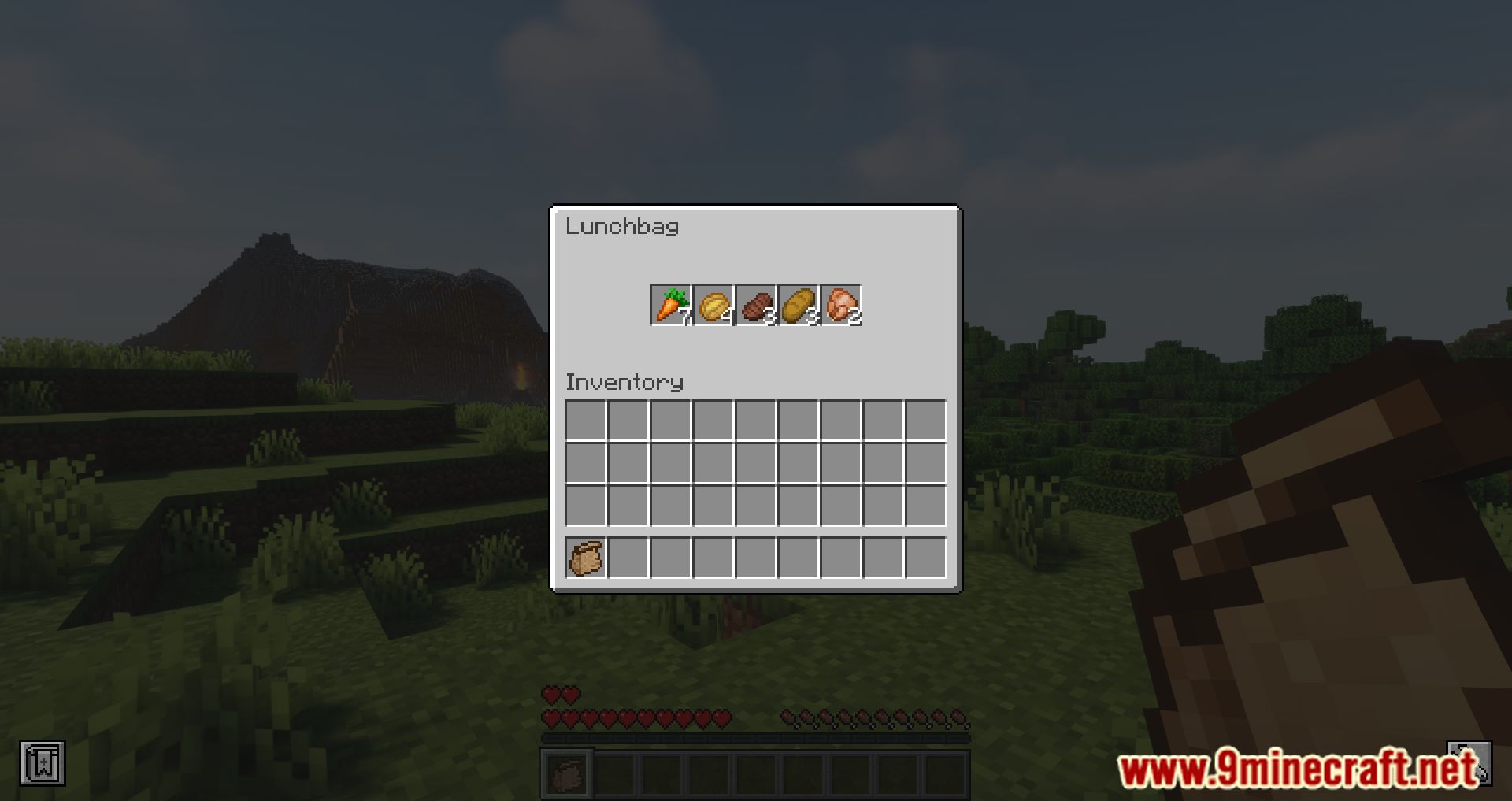 Spice of Life: Sweet Potato Edition Mod (1.19.2, 1.18.2) - Benefits Of Eating In Moderation 11