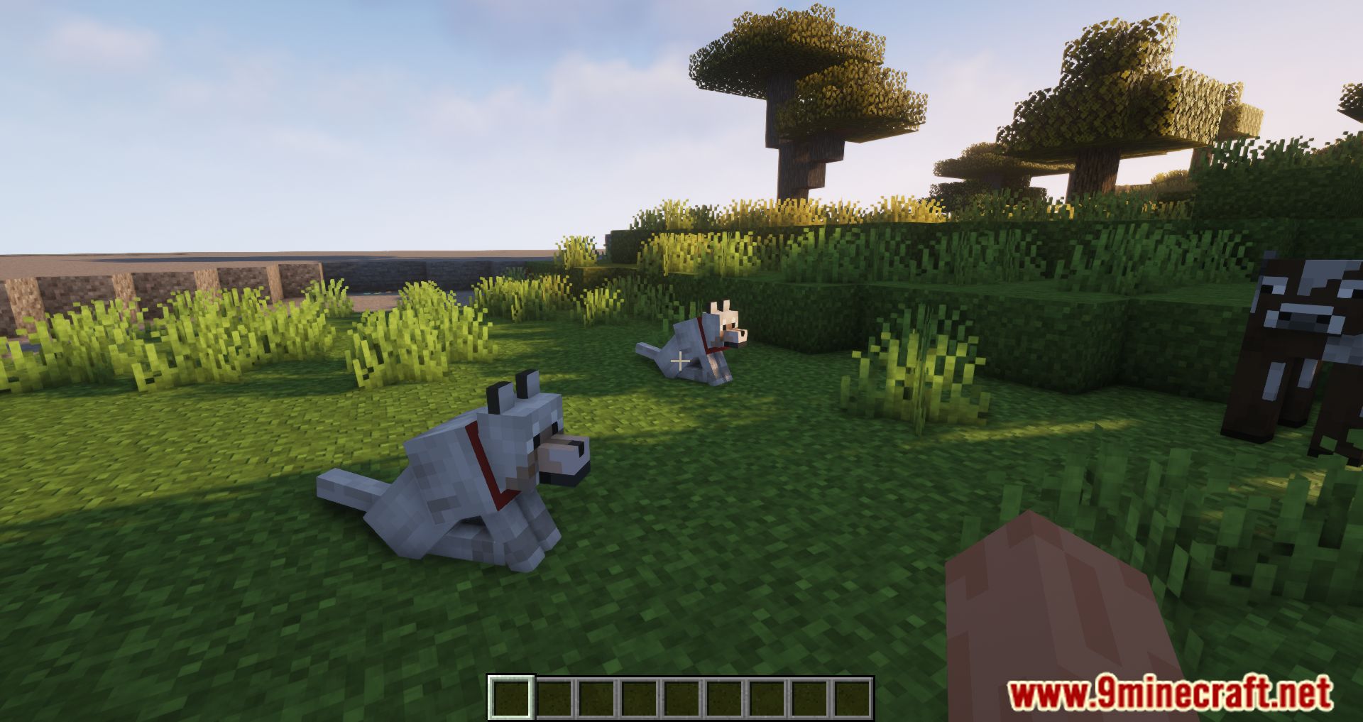 Tamed Respawn Mod (1.19.2, 1.18.2) - Pets Stay By Your Side Forever 2