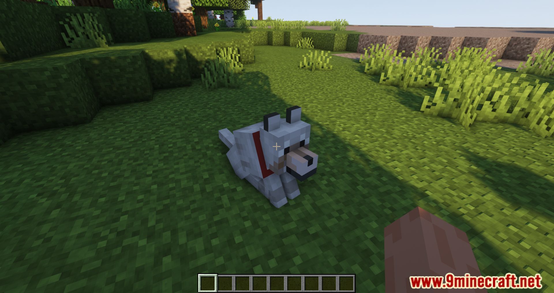 Tamed Respawn Mod (1.19.2, 1.18.2) - Pets Stay By Your Side Forever 4