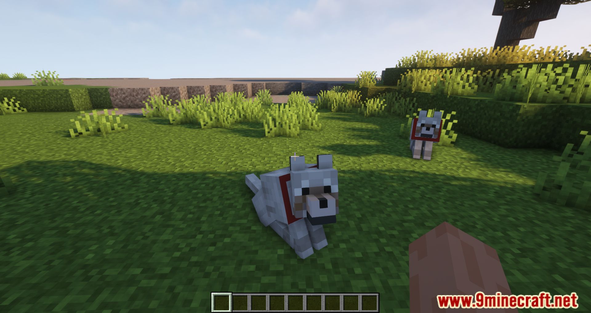 Tamed Respawn Mod (1.19.2, 1.18.2) - Pets Stay By Your Side Forever 6