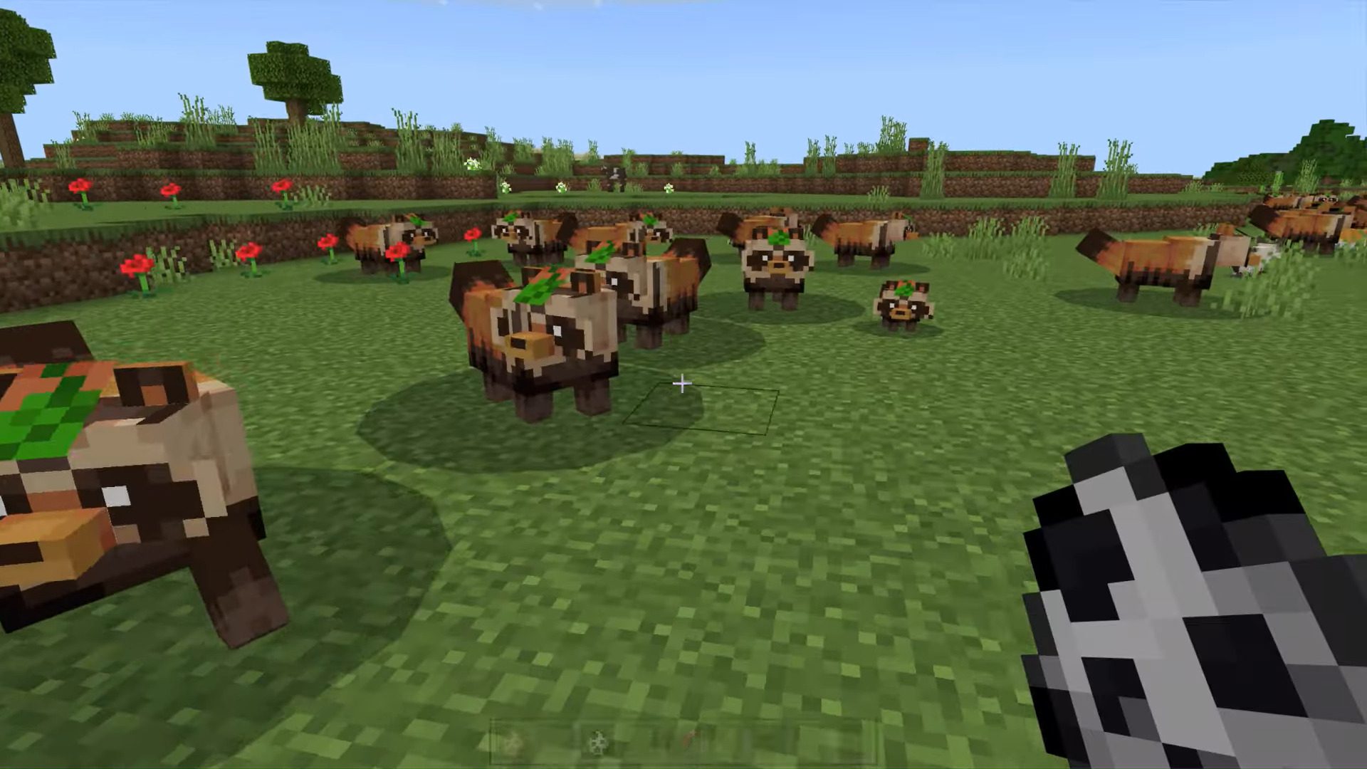 Tanukis (Red Panda) Texture Pack (1.19) - MCPE/Bedrock 7