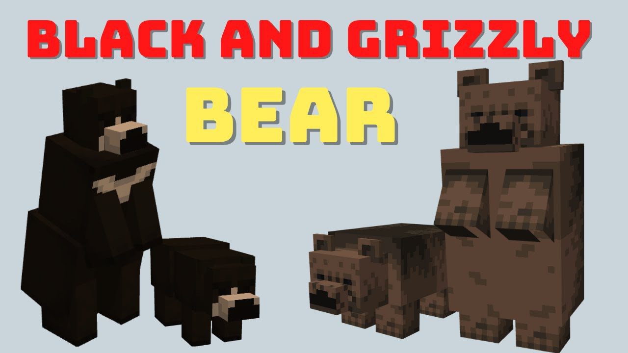 Black and Grizzly Bear Addon (1.19) - MCPE/Bedrock Mod 1