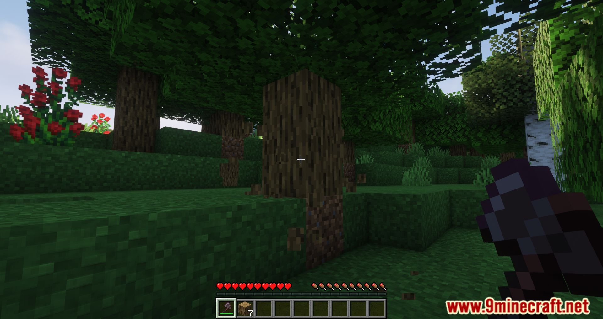 Tree Felling Mod (1.16.5) - Make Trees Fall Like Sand 4