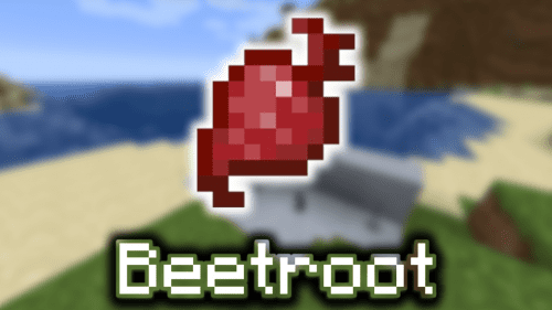 Beetroot – Wiki Guide Thumbnail