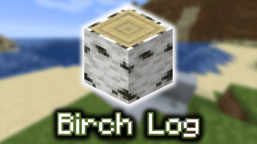 Birch Log – Wiki Guide Thumbnail