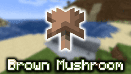 Brown Mushroom – Wiki Guide Thumbnail