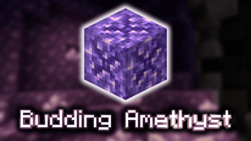 Budding Amethyst – Wiki Guide Thumbnail