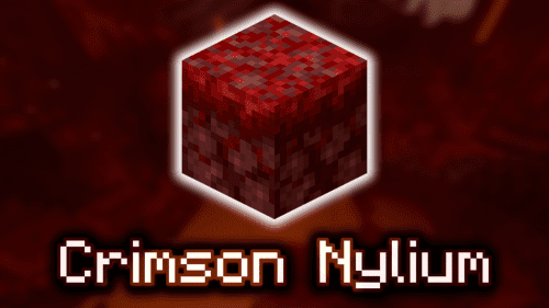 Crimson Nylium – Wiki Guide Thumbnail