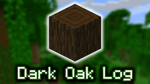 Dark Oak Log – Wiki Guide Thumbnail