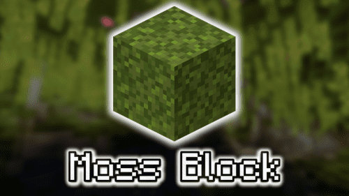 Moss Block – Wiki Guide Thumbnail