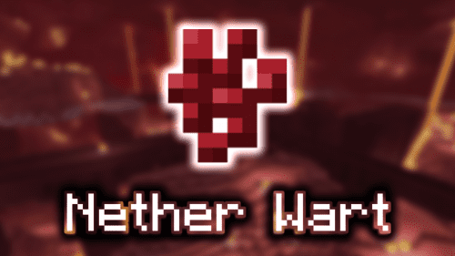 Nether Wart – Wiki Guide Thumbnail