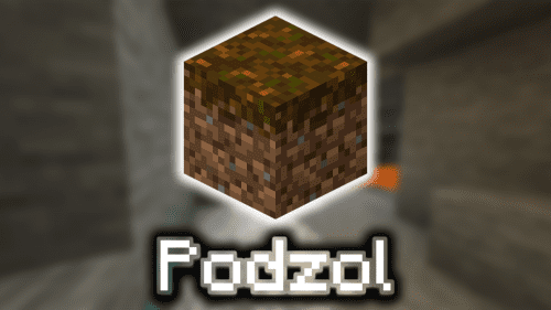 Podzol – Wiki Guide Thumbnail