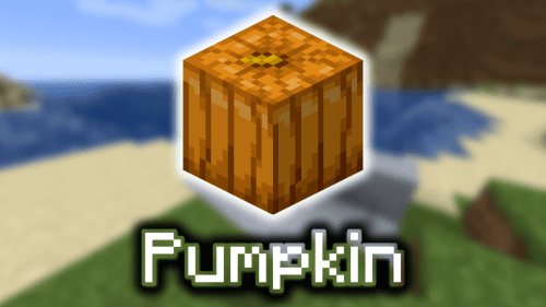 Pumpkin – Wiki Guide Thumbnail