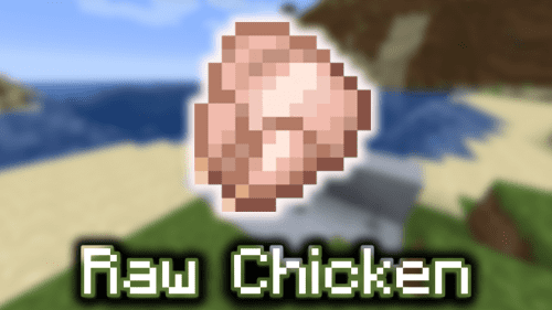 Raw Chicken – Wiki Guide Thumbnail