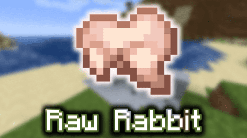 Raw Rabbit – Wiki Guide Thumbnail