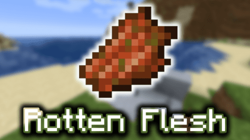 Rotten Flesh – Wiki Guide Thumbnail