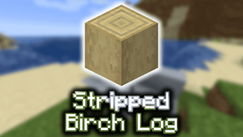 Stripped Birch Log – Wiki Guide Thumbnail