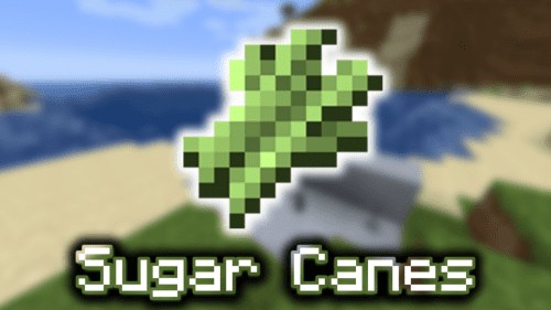 Sugar Canes – Wiki Guide Thumbnail