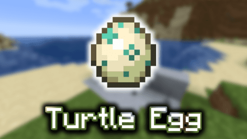 Turtle Egg – Wiki Guide Thumbnail