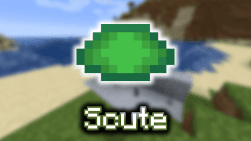 Turtle Scute – Wiki Guide Thumbnail