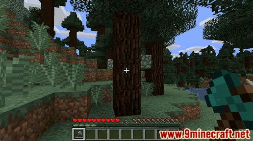 Stripped Spruce Log - Wiki Guide 12