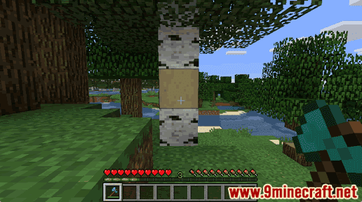 Stripped Birch Log - Wiki Guide 12