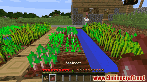 Beetroot - Wiki Guide 10