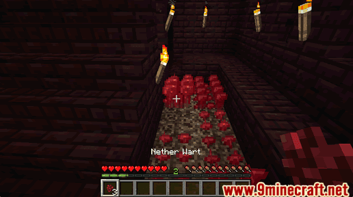 Nether Wart - Wiki Guide 13