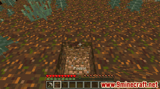 Podzol - Wiki Guide 27