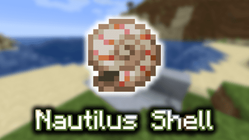 Nautilus Shell – Wiki Guide Thumbnail