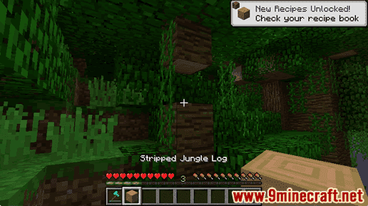 Stripped Jungle Log - Wiki Guide 14
