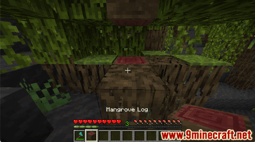 Mangrove Log - Wiki Guide 17