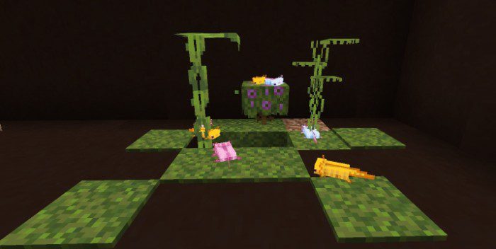 Better Axolotls Texture Pack (1.19) - MCPE/Bedrock 3