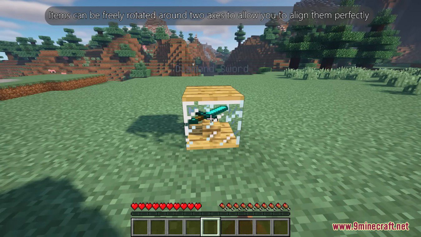 Better Displays Mod (1.12.2) - Display Cases, Book Holders 3