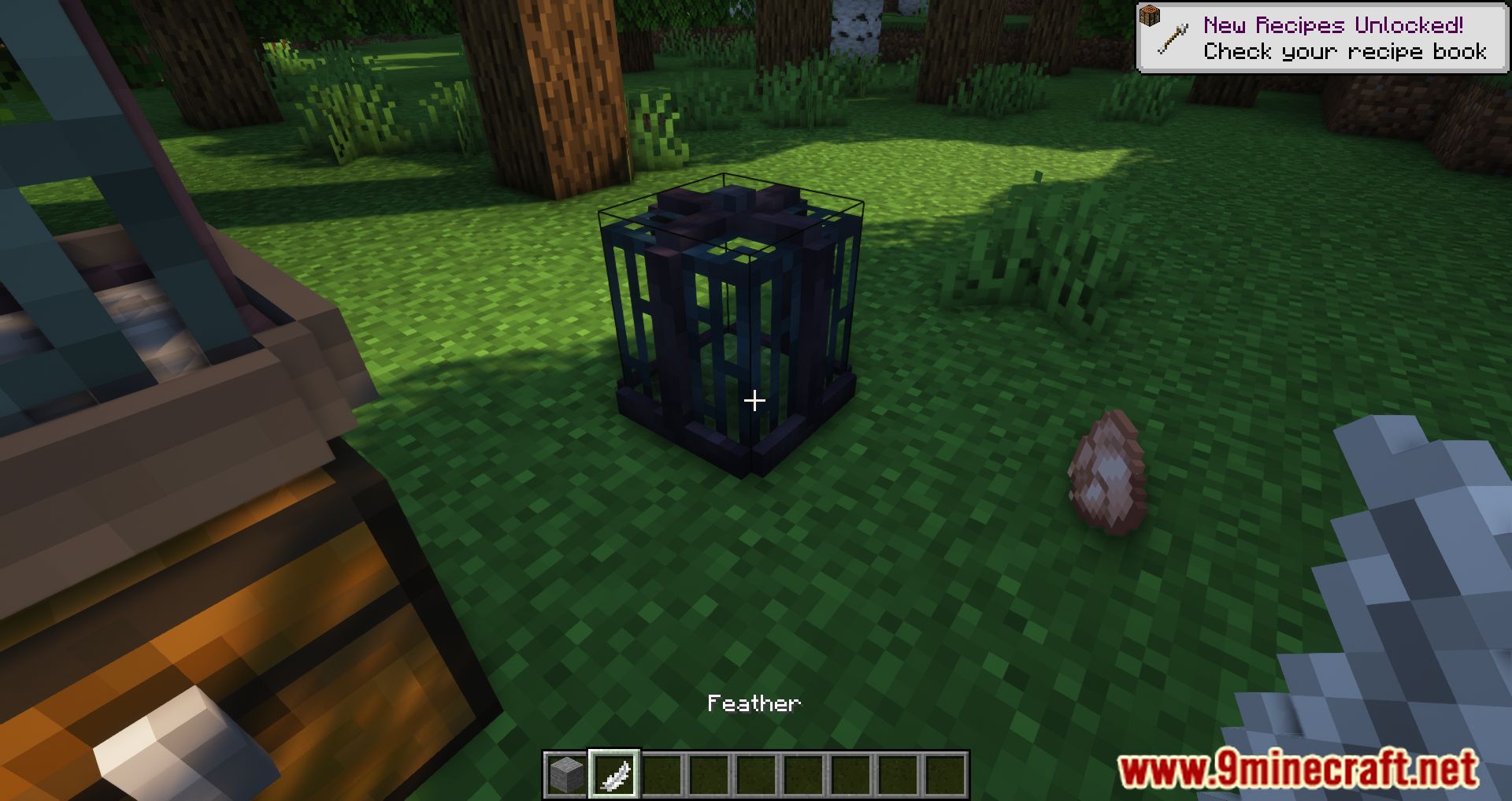 Caged Mobs Mod (1.18.2, 1.16.5) - Imprison All Entities 5