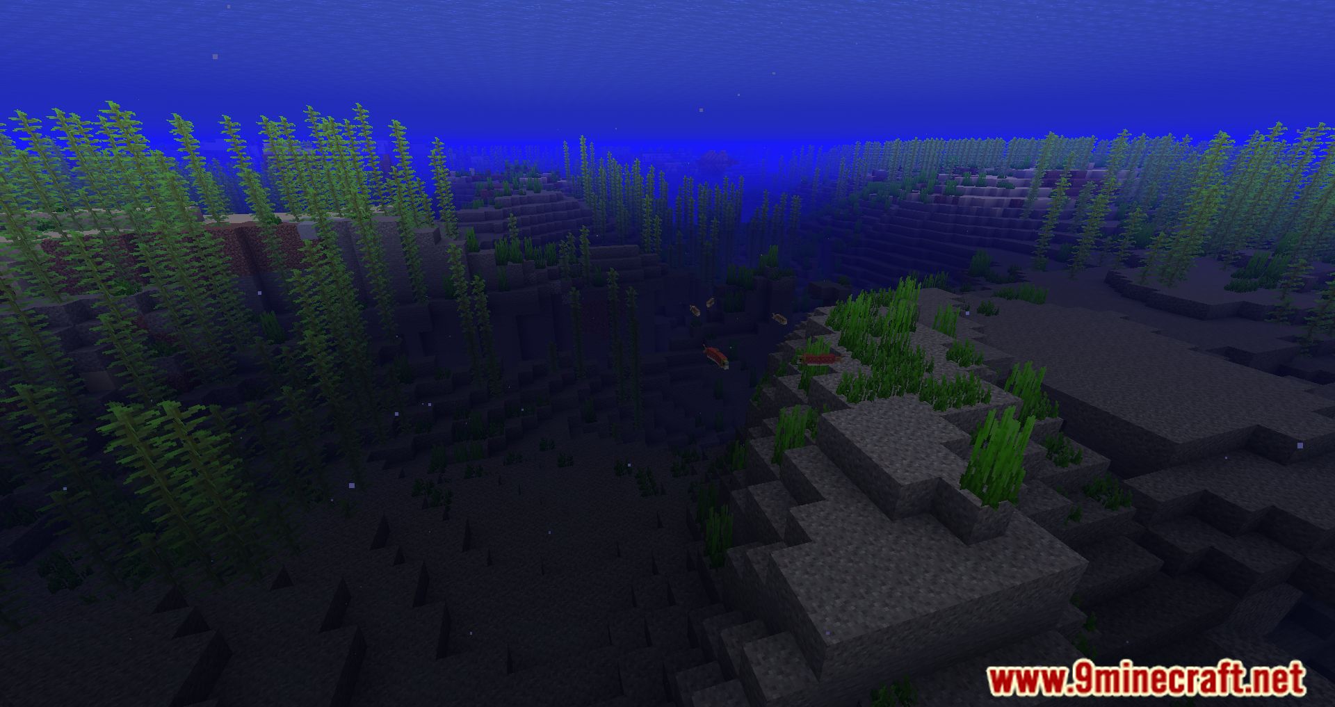 Clear Water Mod (1.20.4, 1.19.2) - Removes The Fog Underwater 8