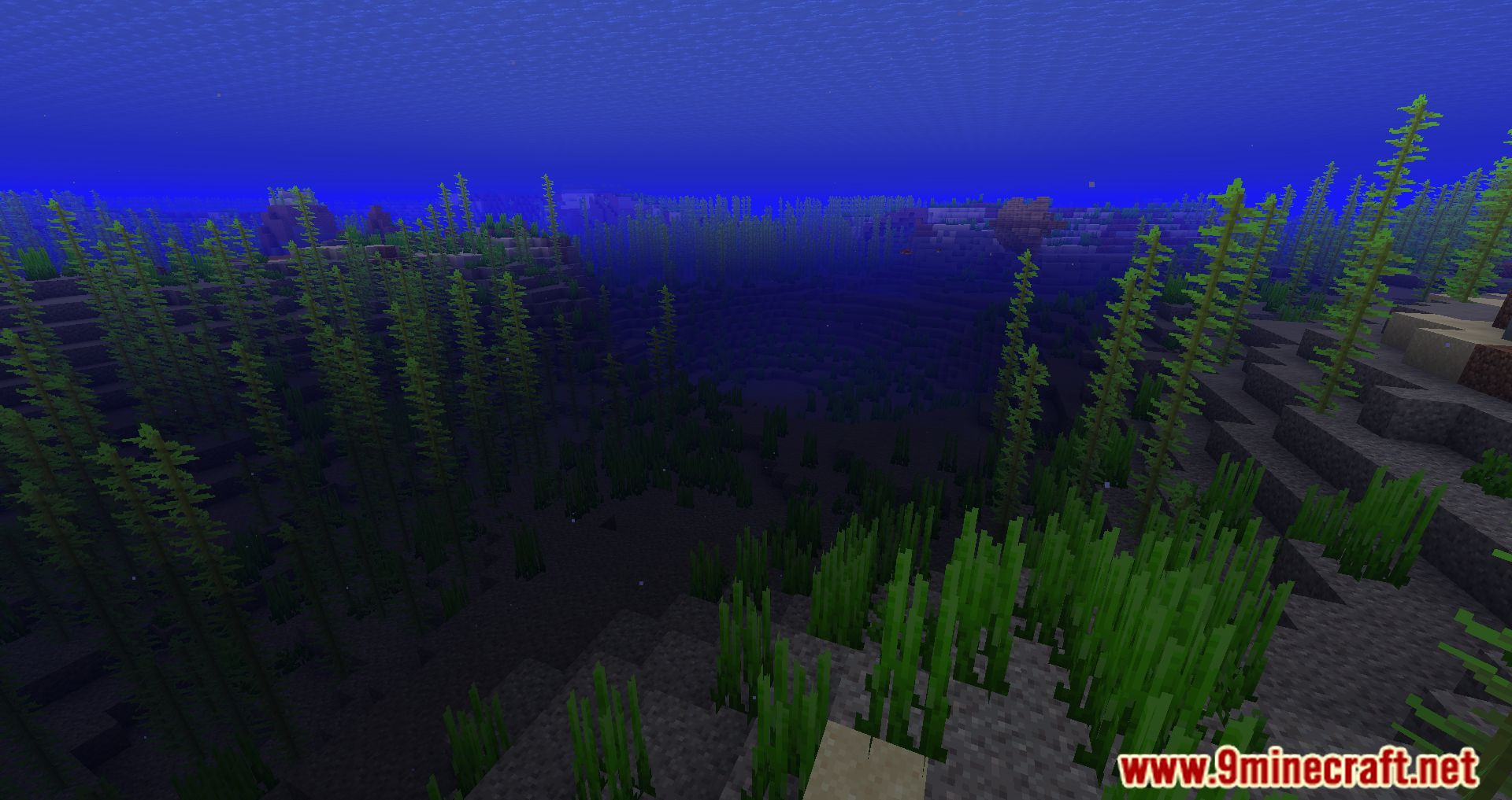 Clear Water Mod (1.20.4, 1.19.2) - Removes The Fog Underwater 9