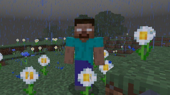 Cursed By Herobrine Addon (1.19) - MCPE/Bedrock Mod 2