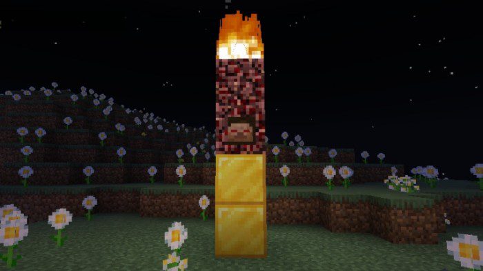 Cursed By Herobrine Addon (1.19) - MCPE/Bedrock Mod 4