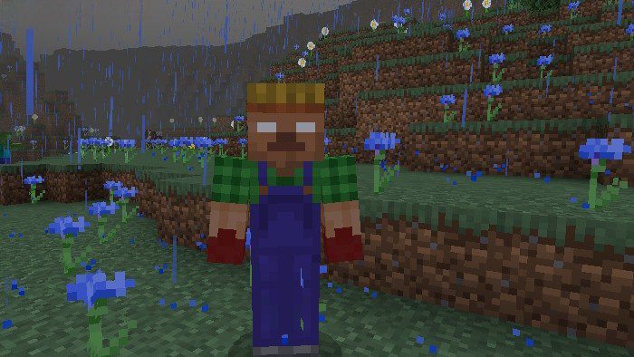 Cursed By Herobrine Addon (1.19) - MCPE/Bedrock Mod 6