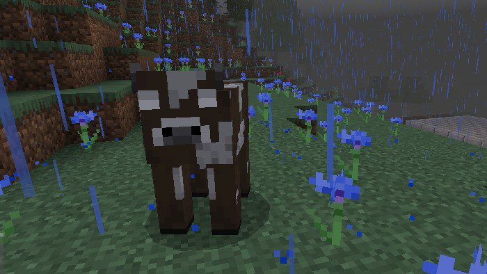 Cursed By Herobrine Addon (1.19) - MCPE/Bedrock Mod 8