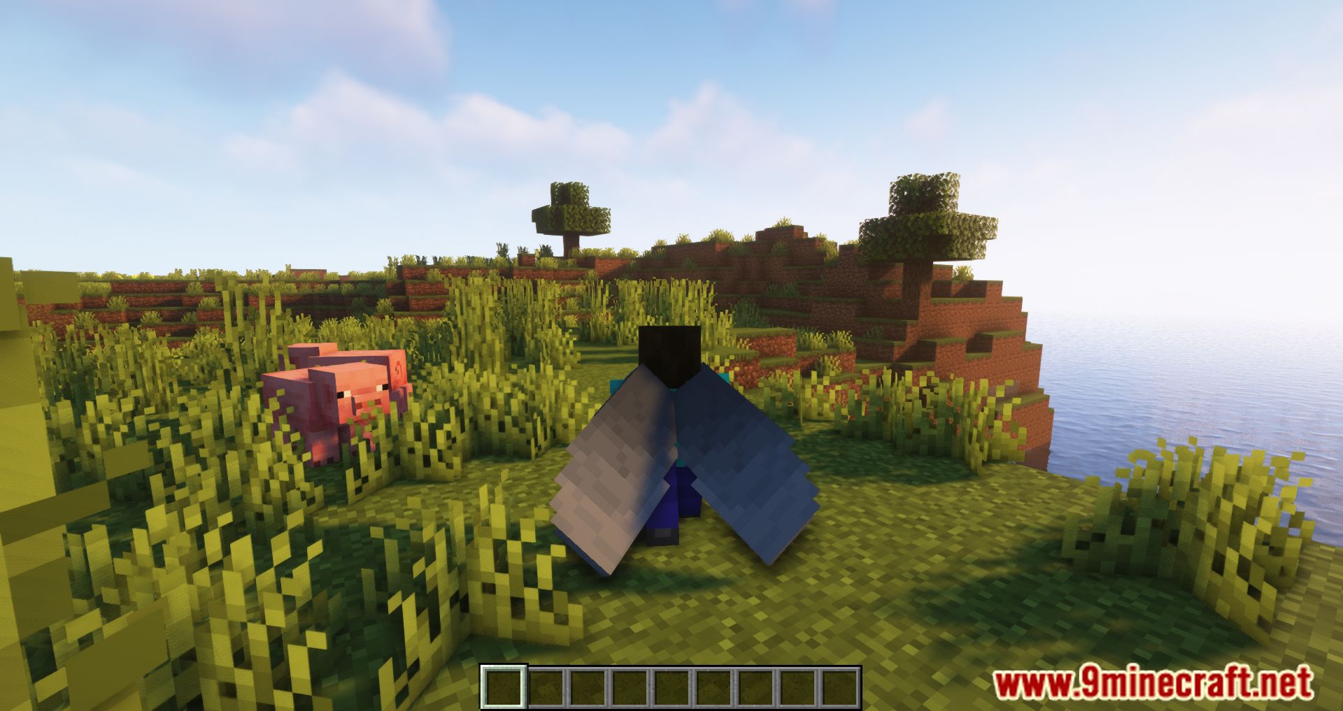 Elytra Physics Mod (1.20.2, 1.19.4) - Cape-Like Physics To The Elytra 8