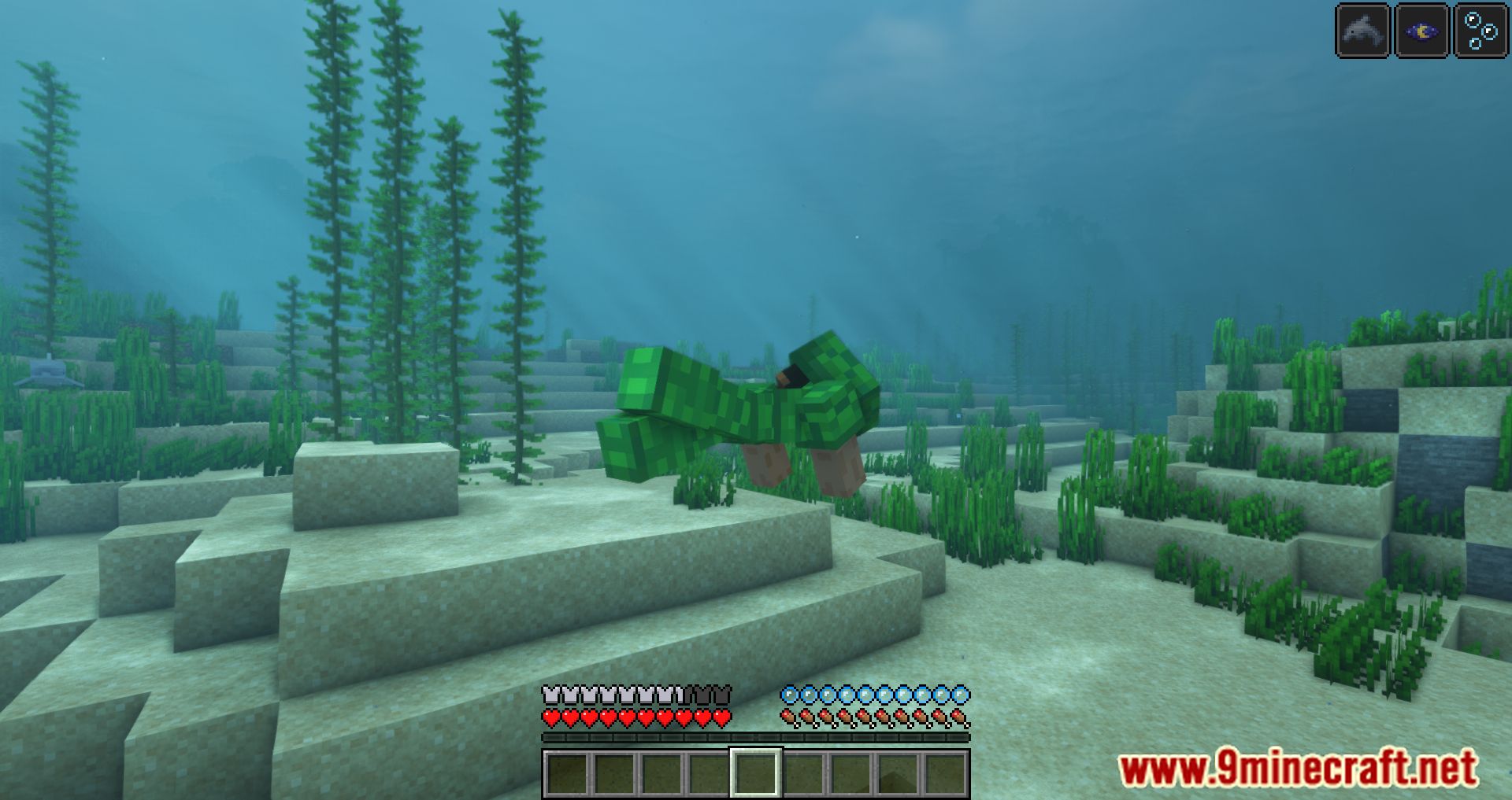 Full Turtle Armor Mod (1.20.4, 1.19.4) - Completes Minecraft's Turtle Armor Set 9